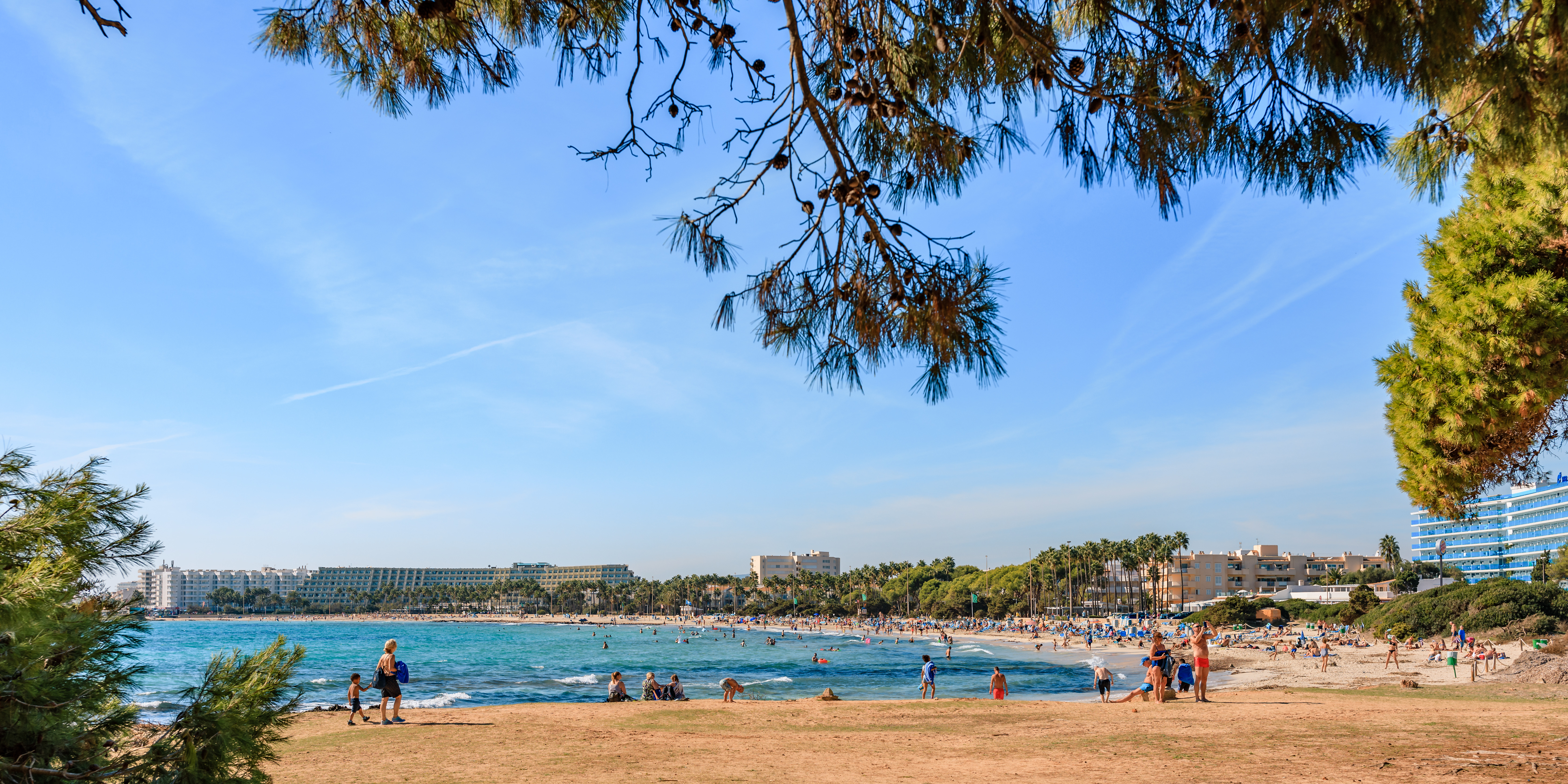 Dobrze odwiedzana plaża w Sa Coma latem