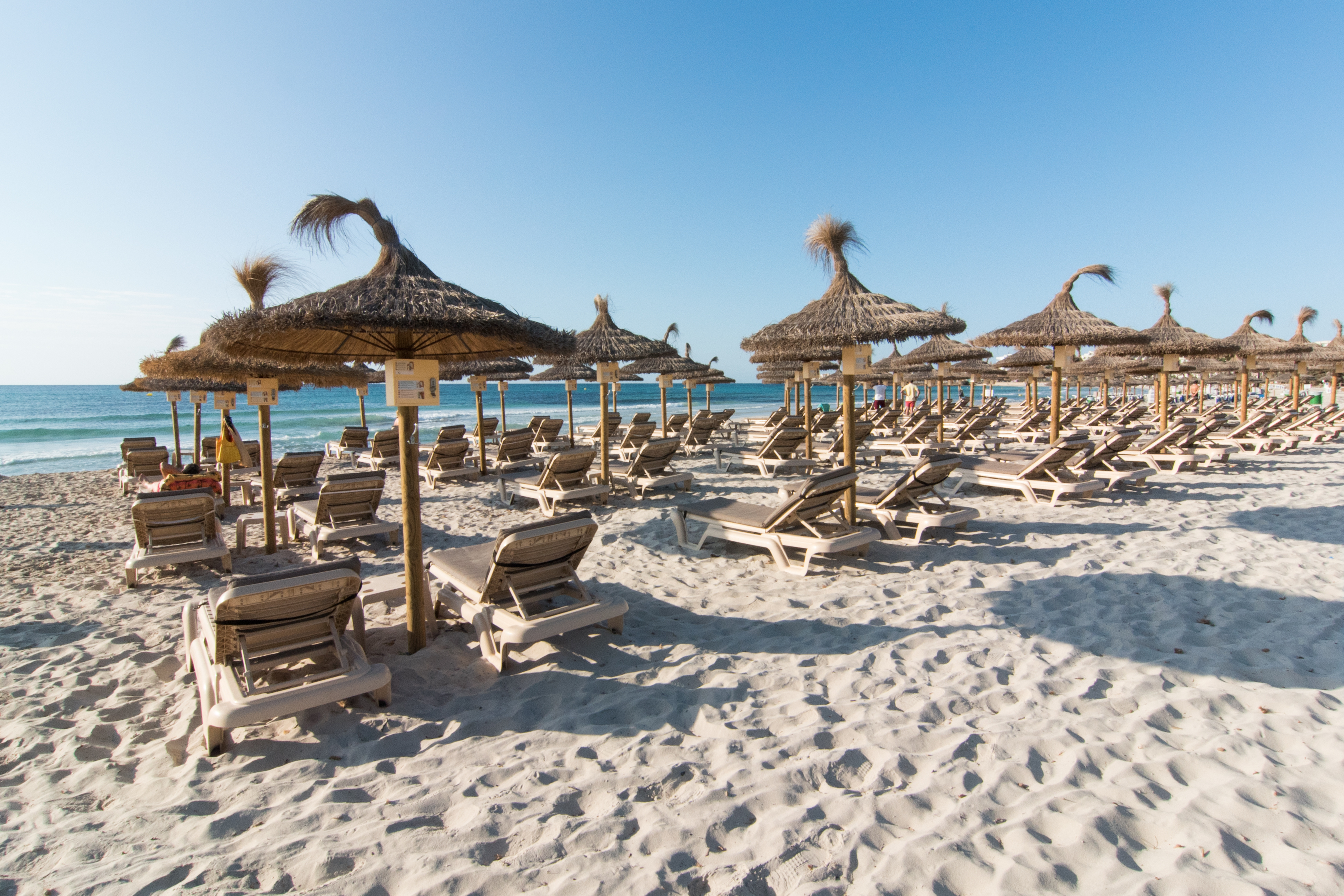 Sun umbrellas in the fine white sand on the beach of Sa Coma