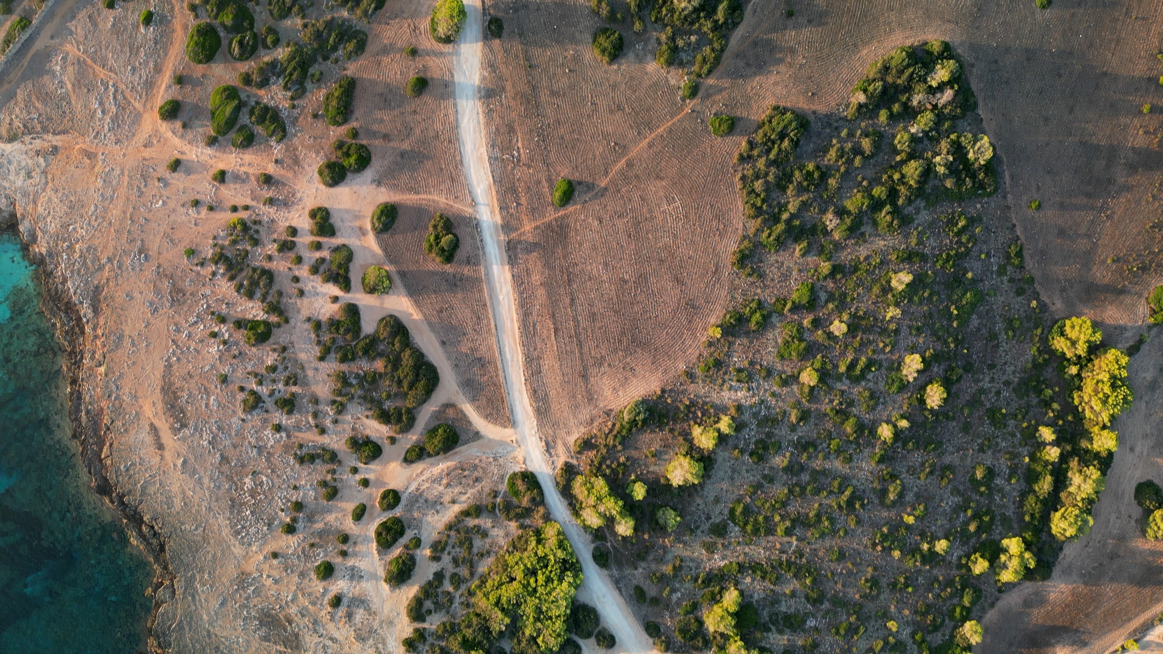 Aerial view of flora and fauna around Sa Coma