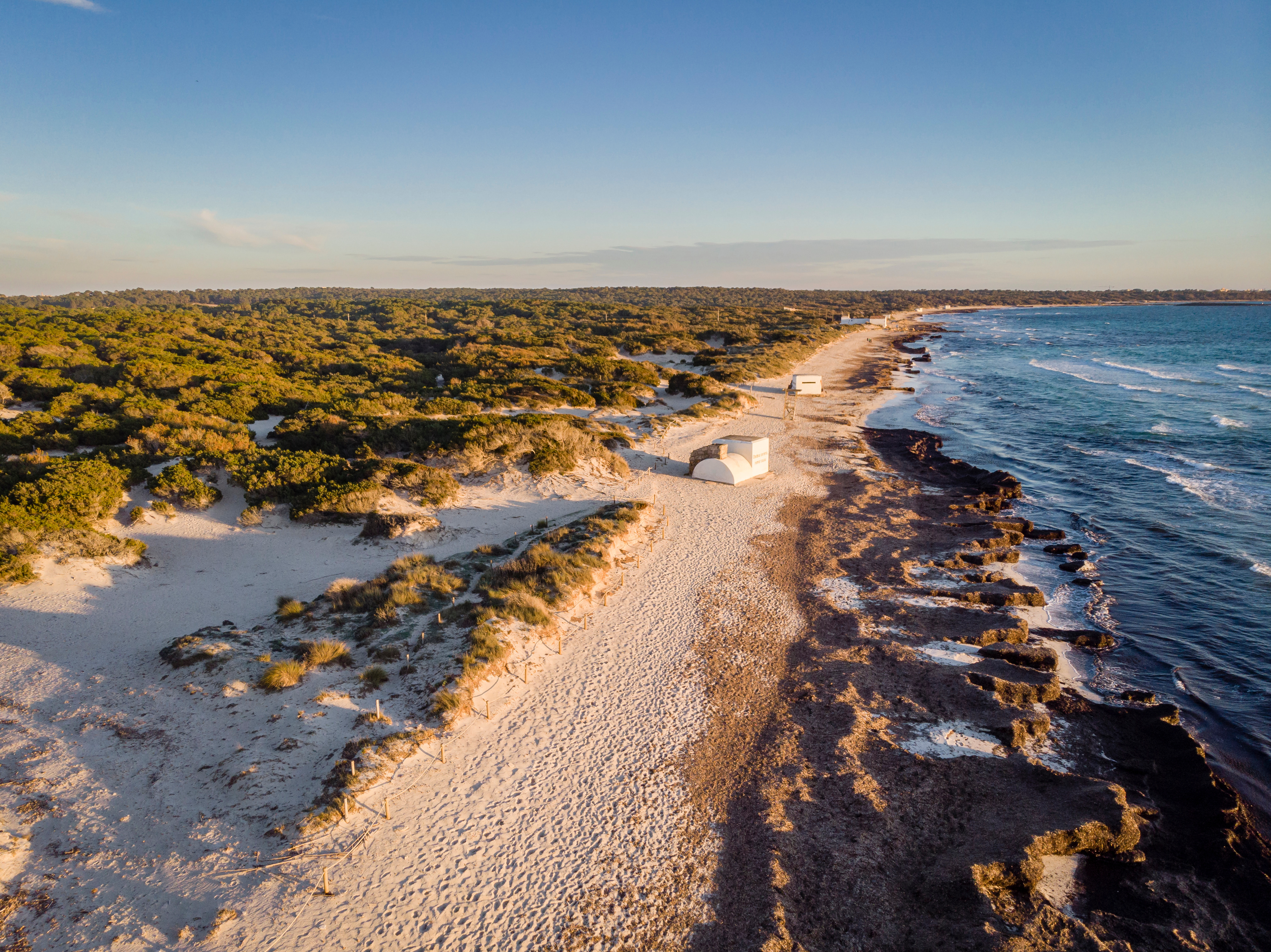 Magányos Es Trenc strand zöld háttérrel. Érintetlen természet