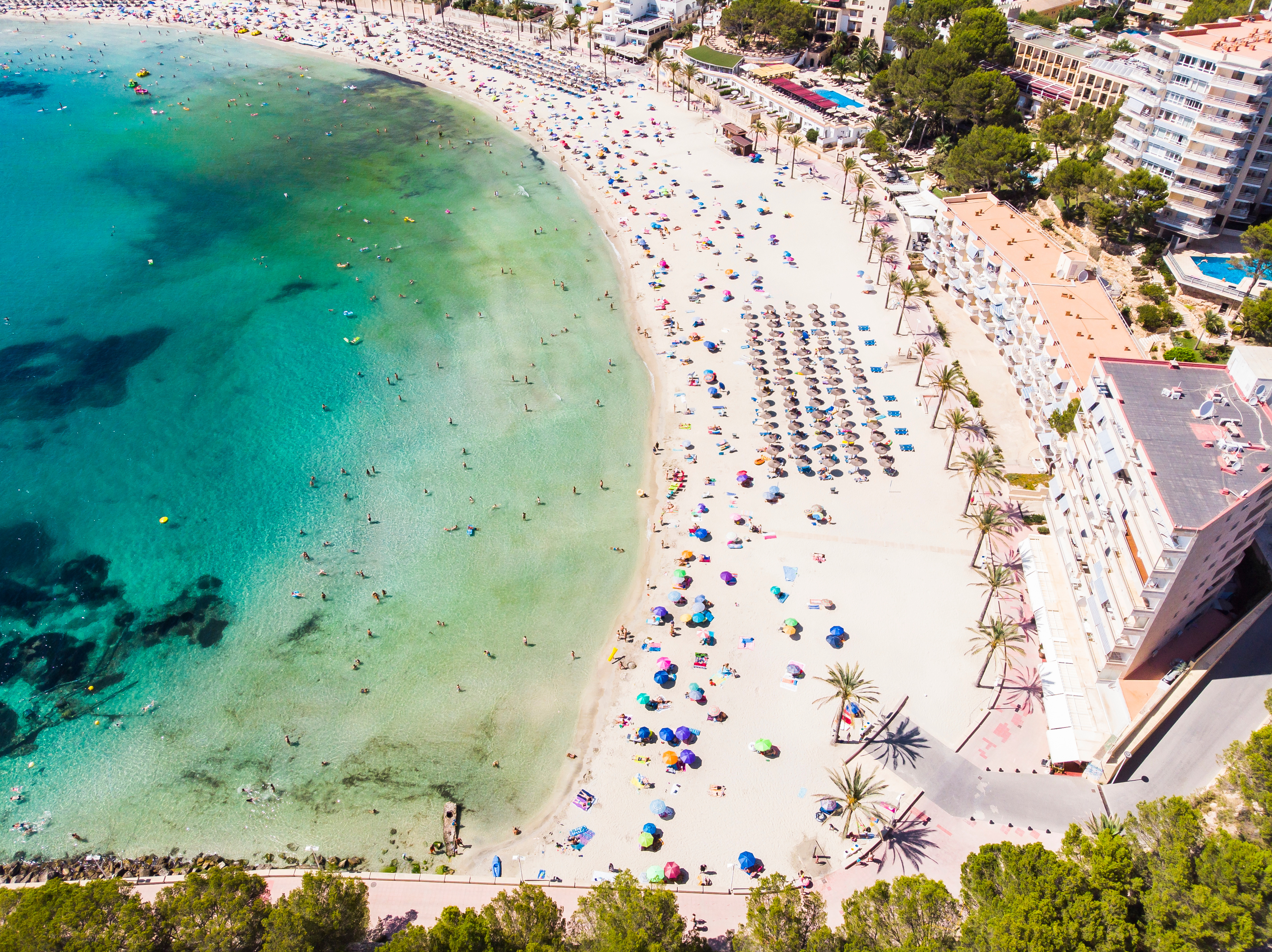 Hófehér homok a Paguera strandján, sok napágyakkal és napernyőkkel