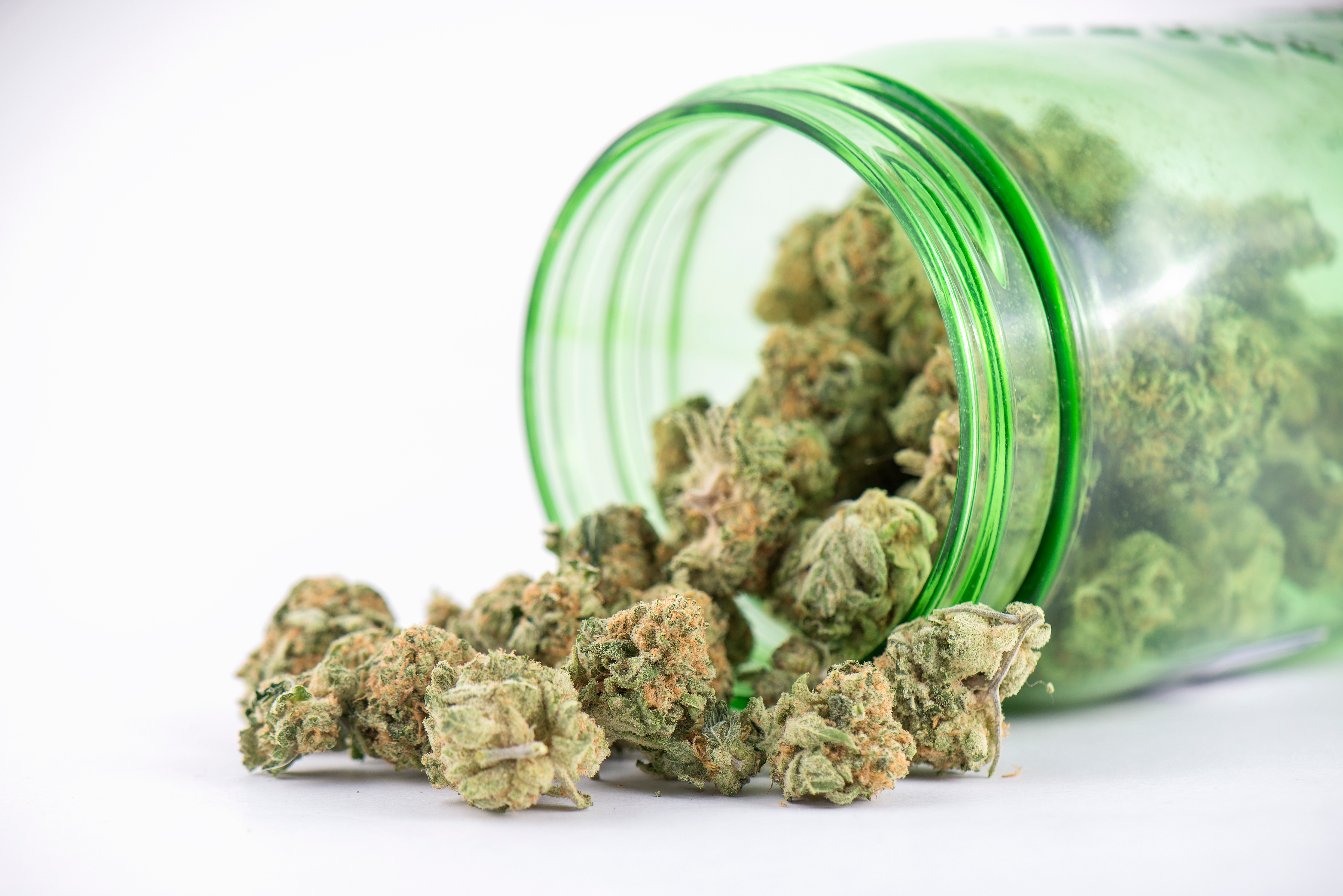 Fresh Cannabis in a Green Jar