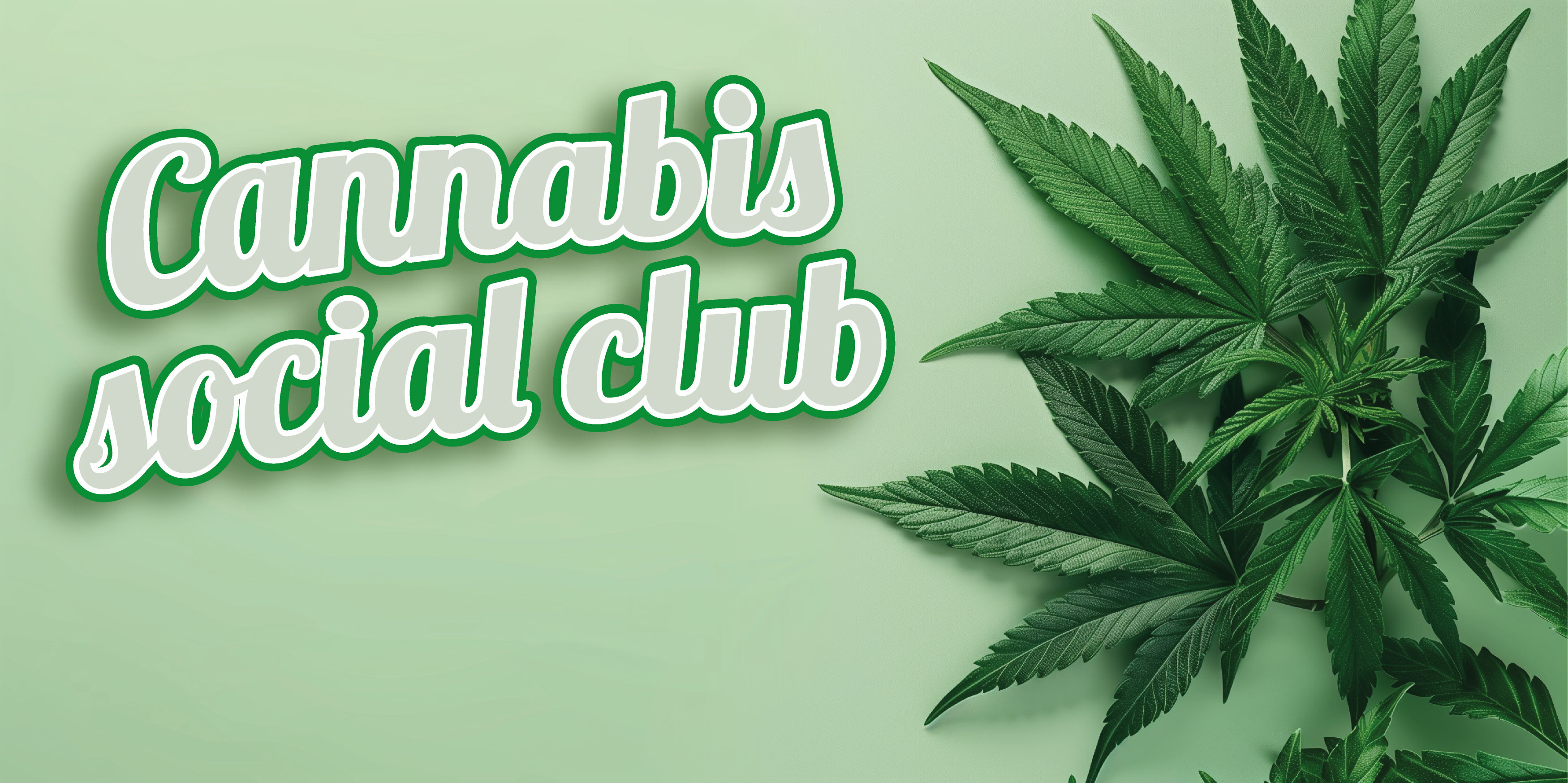 Klub Społeczny Cannabis (CSC) na Ballermann