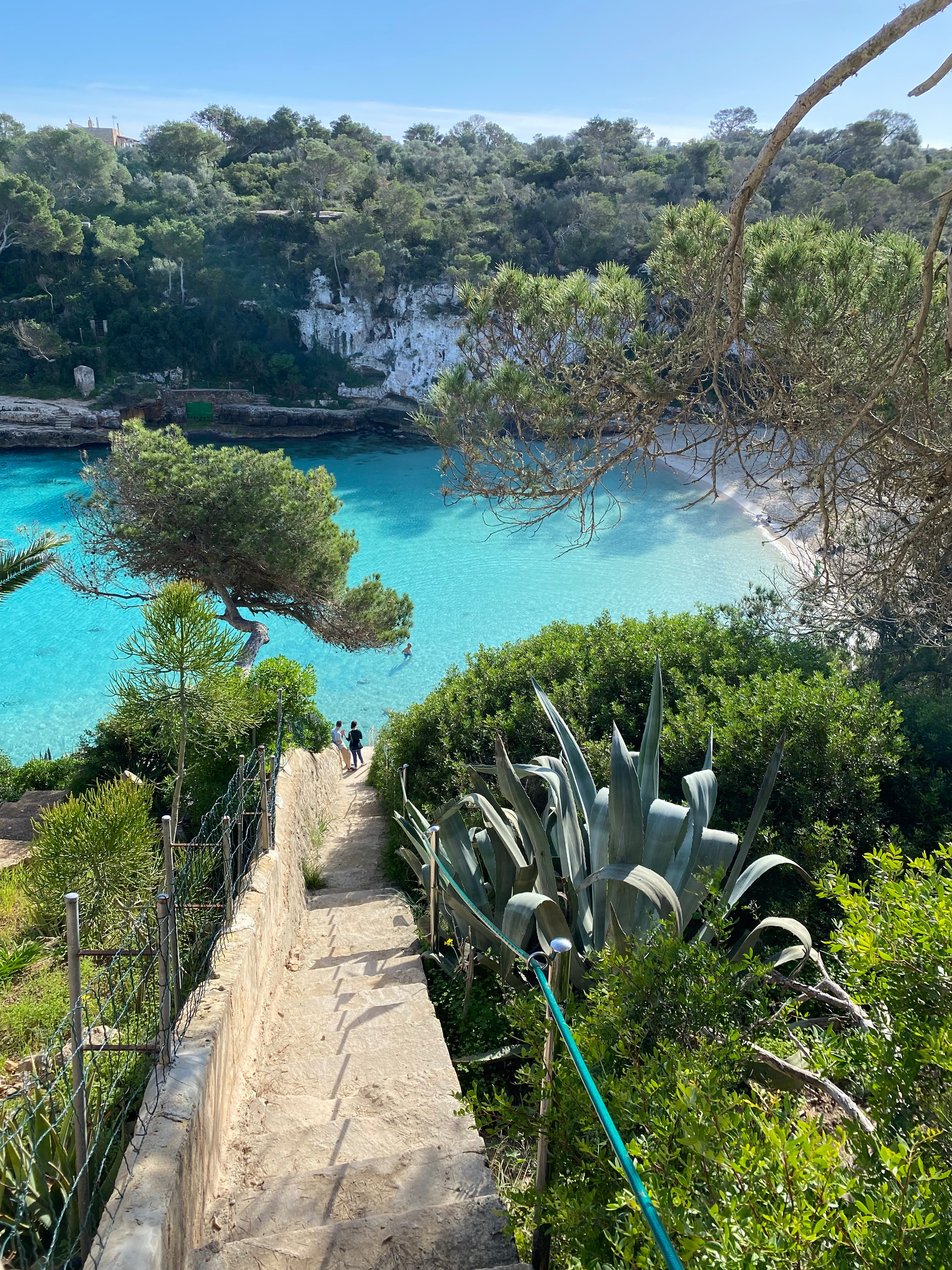 Eine schmale Treppe führt zum Traumstrand von Cala d'Or, mit türkisfarbenem Wasser