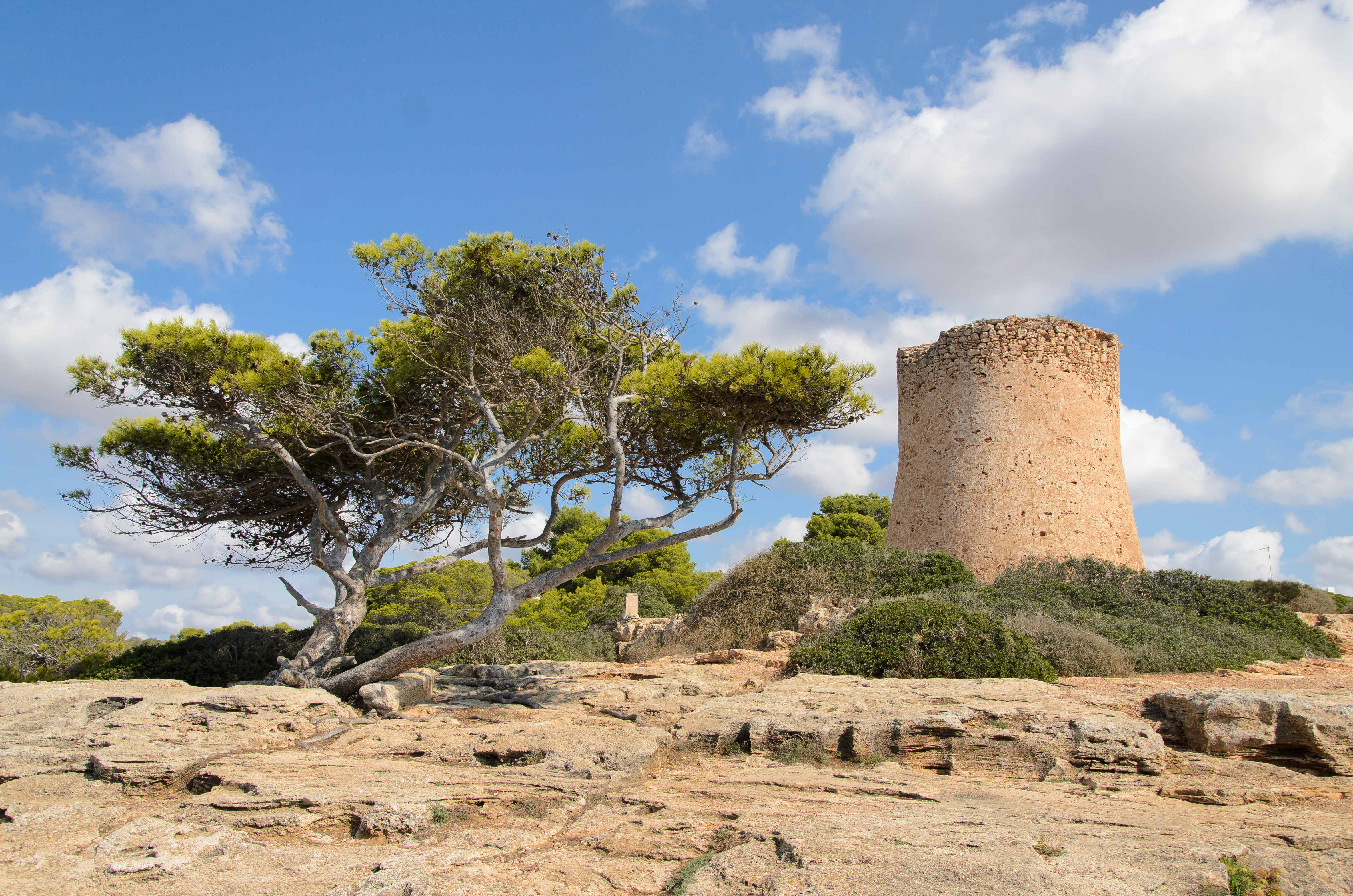 A antiga torre de vigia pirata é acessível por um estreito caminho de caminhada. Em frente a ela está um pinheiro velho e grande.