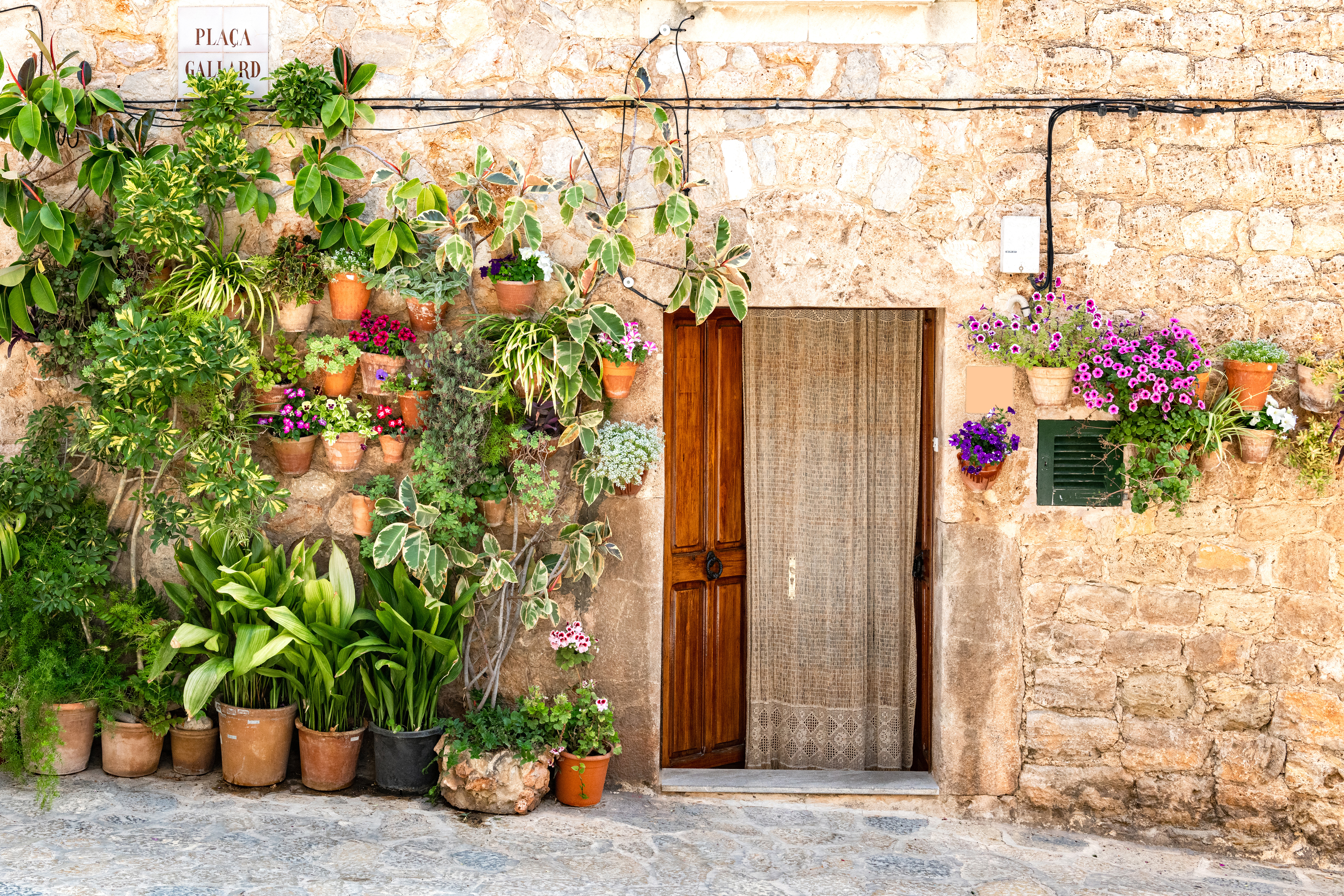 Muchas macetas plantadas mediterráneamente decoran la pared de la casa