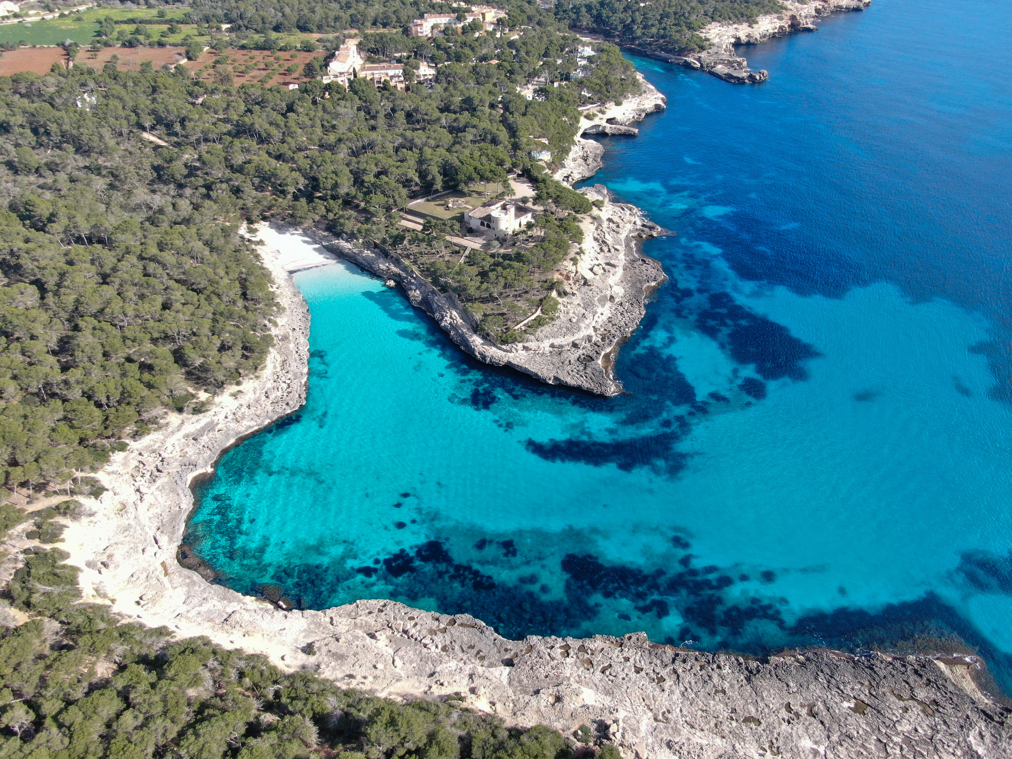 Ripresa aerea di Cala Mandia, con scogliere frastagliate e una bellissima pineta