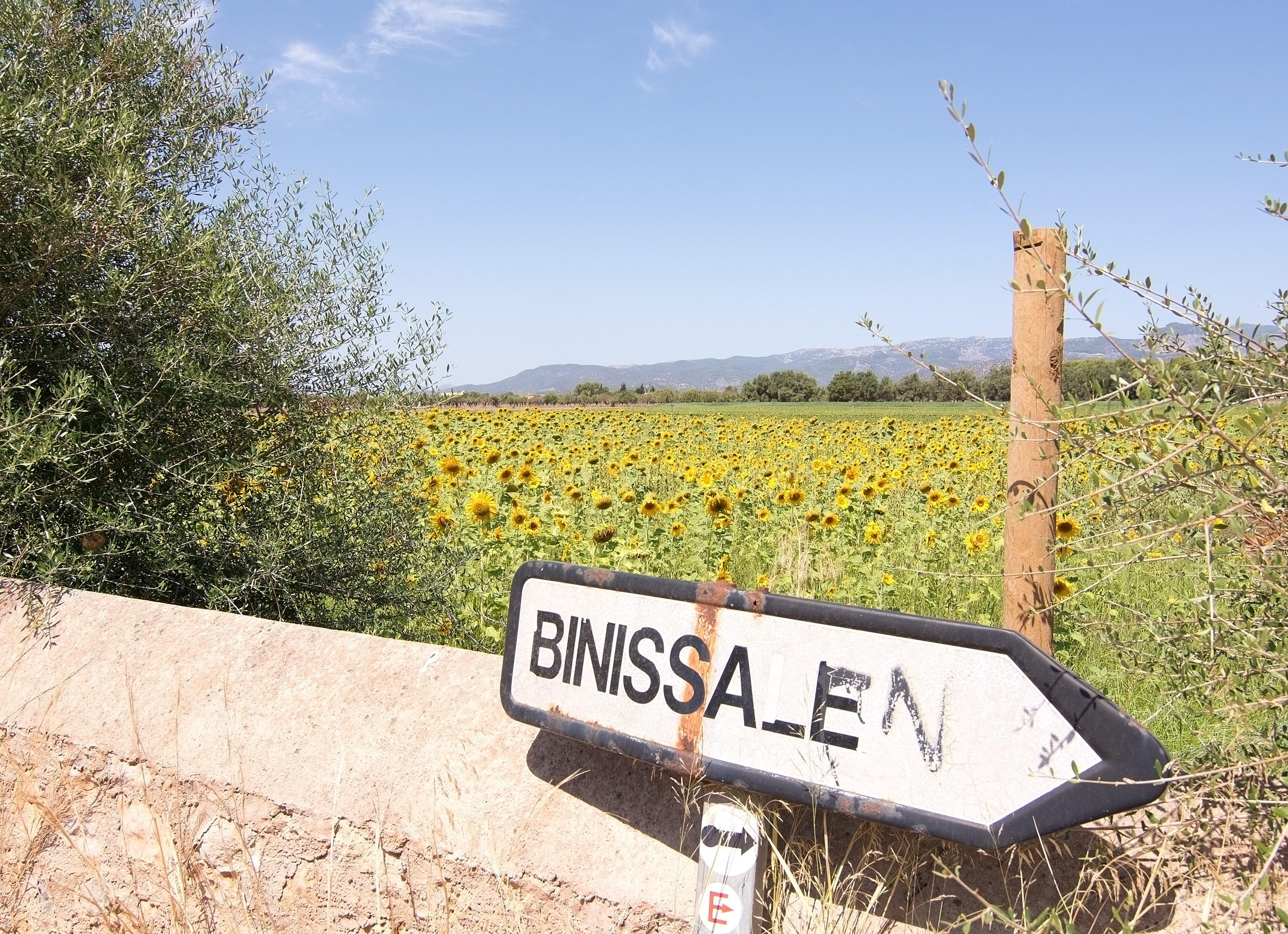 Ancien panneau de rue "Binissalem" - Acheter du cannabis dans le club social à Binissalem