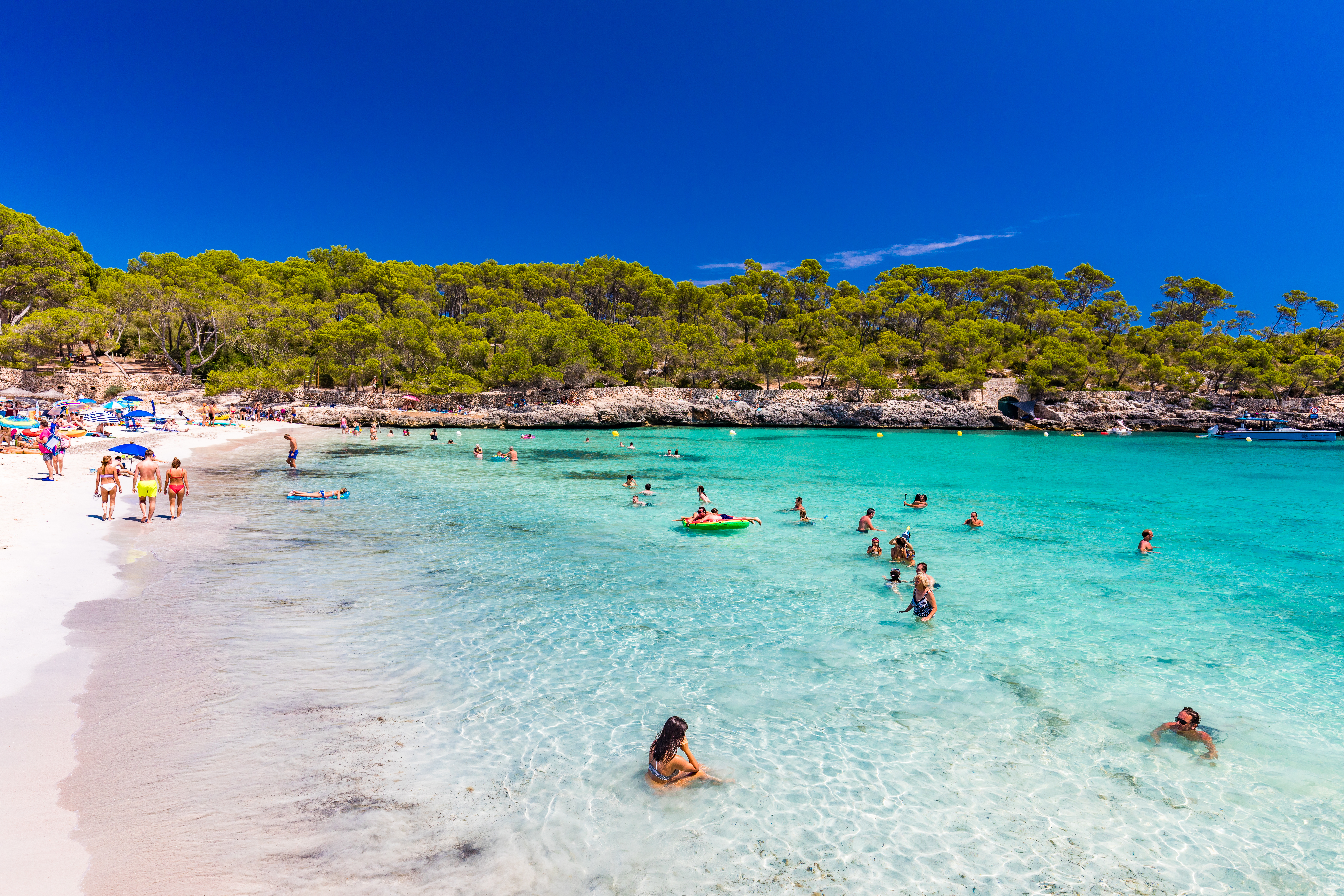 Cala Mondrago'nun beyaz kumlu koyu ve eski çam ağaçları