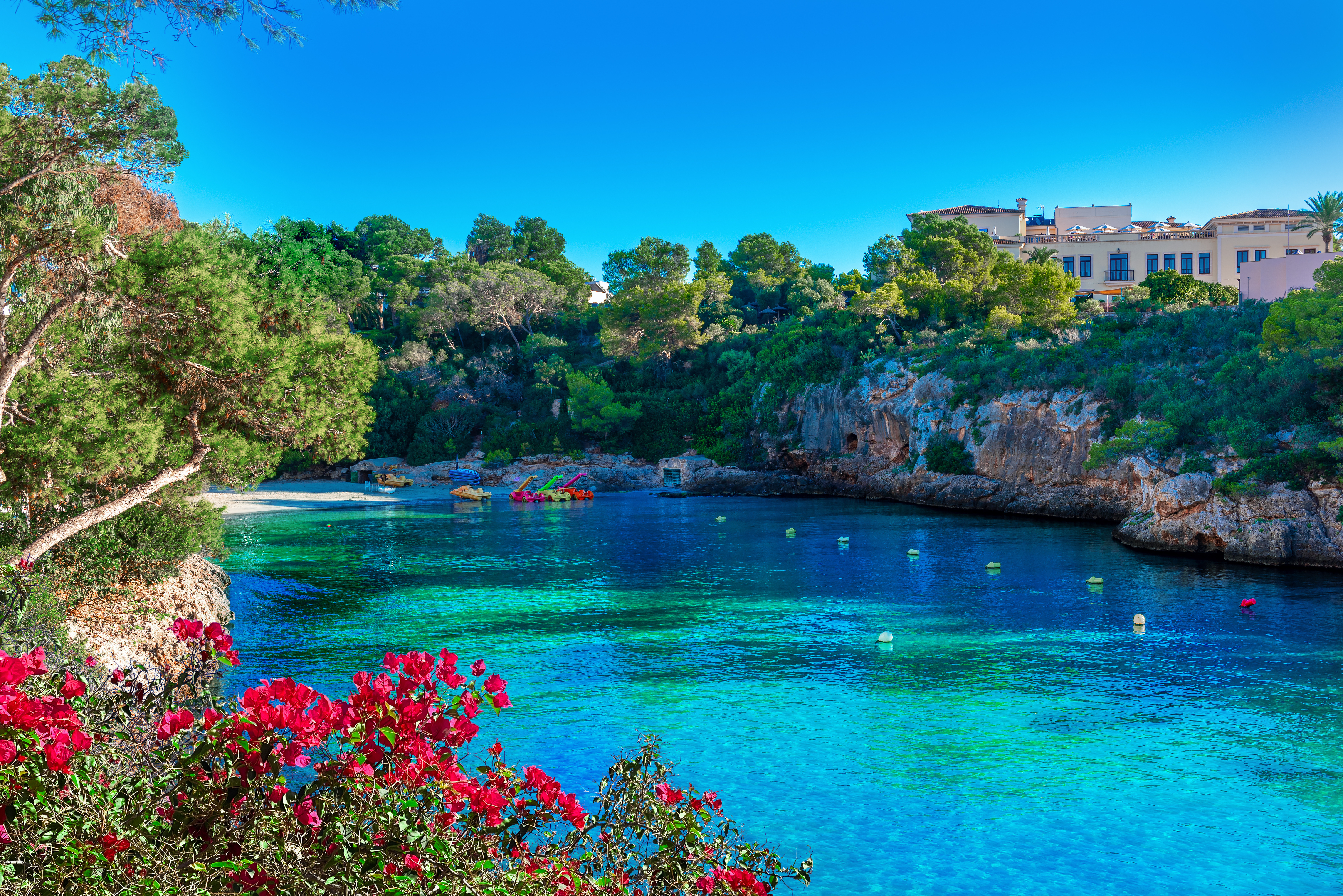 The beautiful cove of Cala Ferrera with crystal clear water and ancient trees