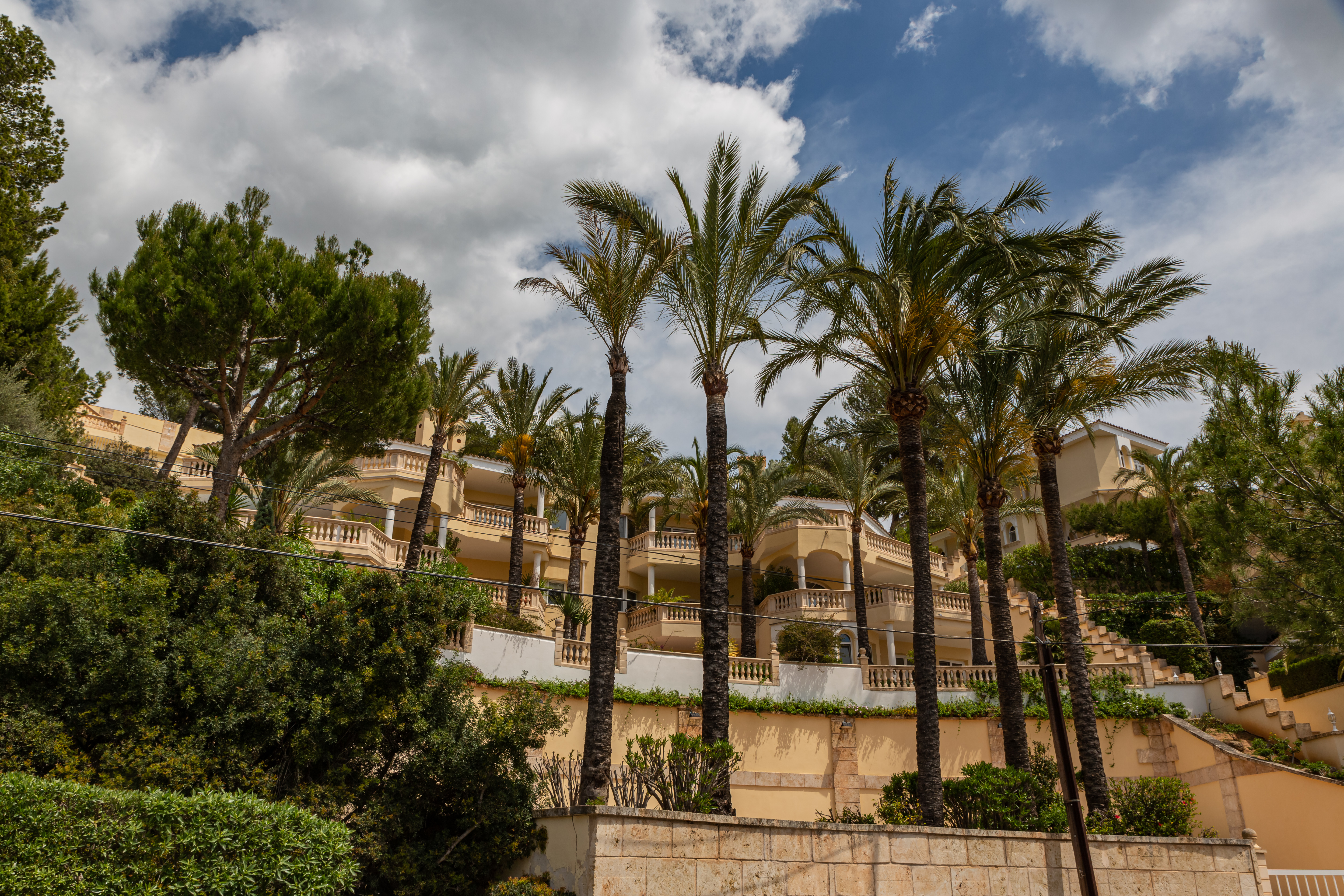 Oude huizen met grote palmbomen in Costa de la Calma