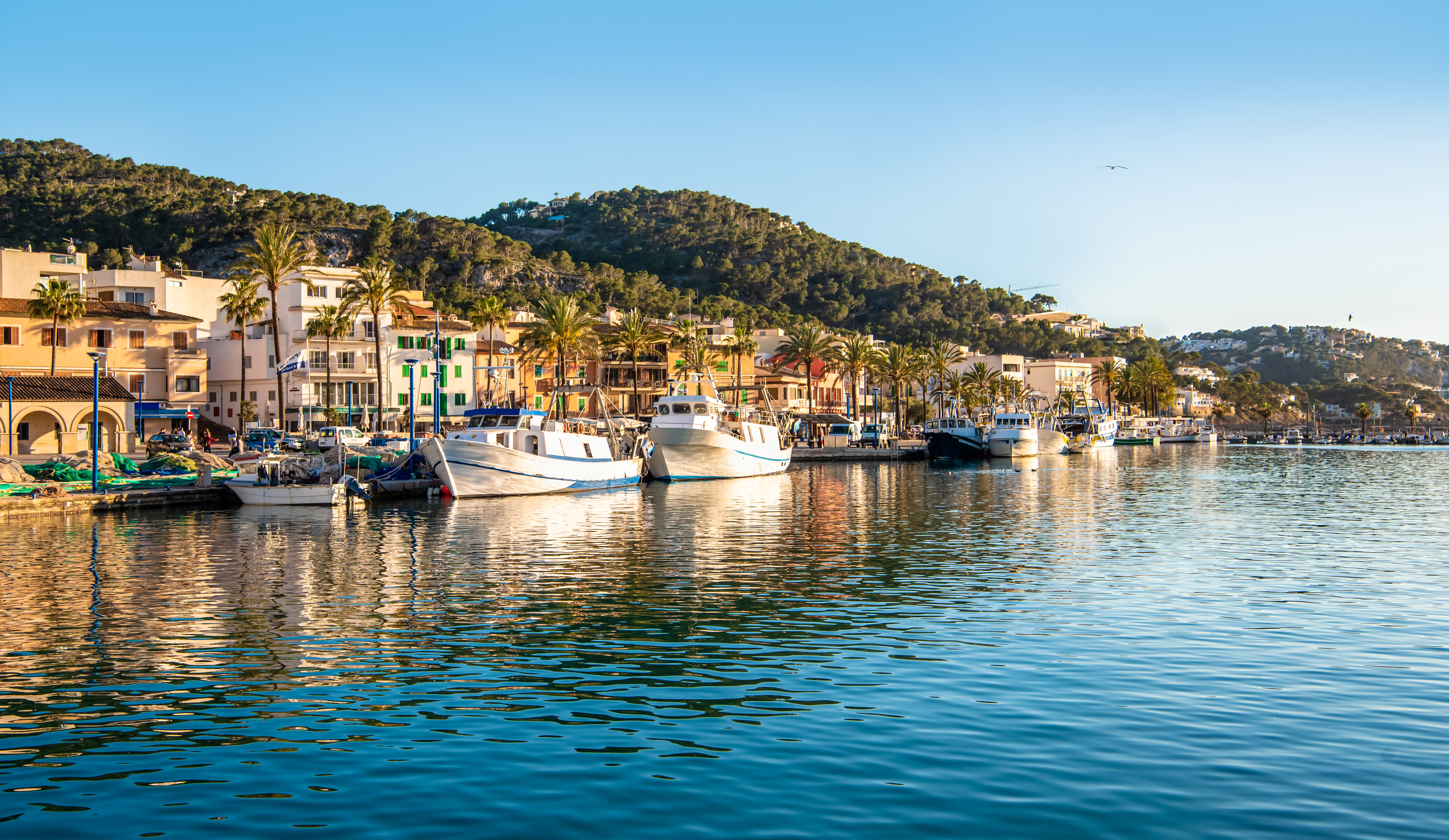 Mallorca Port d'Andratx'ta gün batımında tekneler ve gemiler